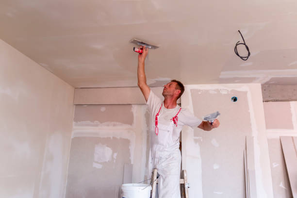 Professional Painting in Prophetstown, IL